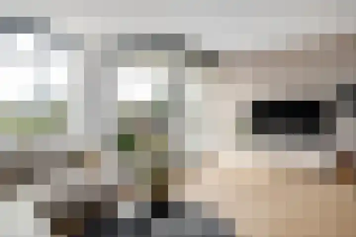 Oostmaaslaan 449 Rotterdam thumbnail 5