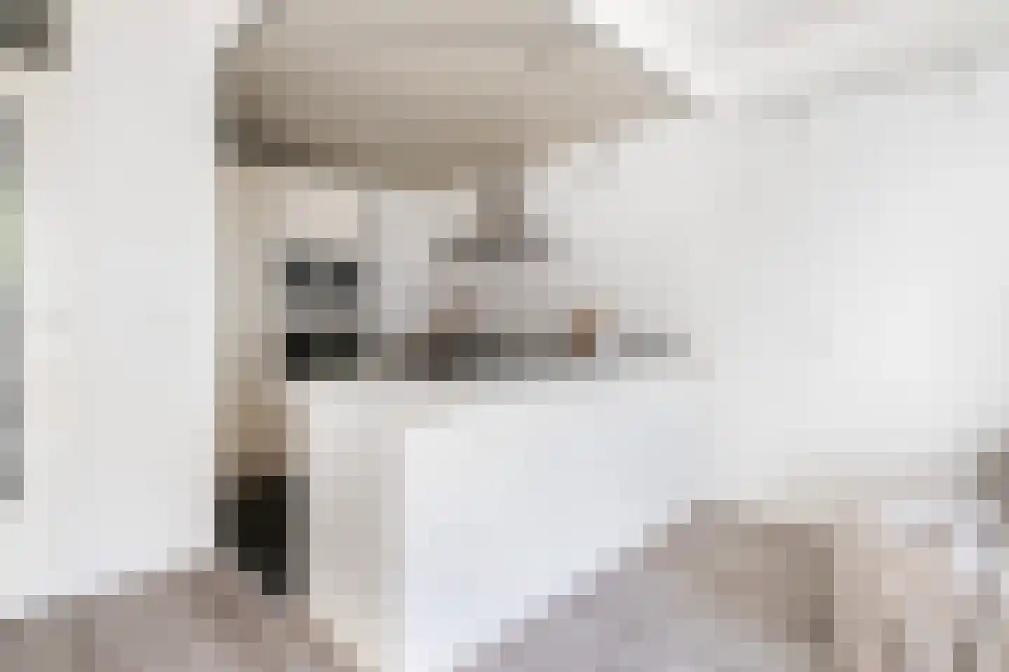 Oostmaaslaan 45 E Rotterdam thumbnail 9