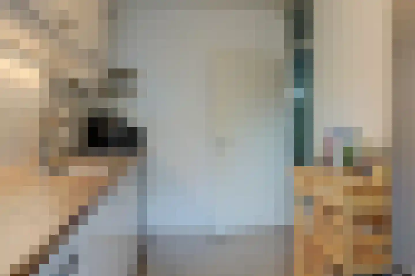 Oostmaaslaan 509 Rotterdam thumbnail 11