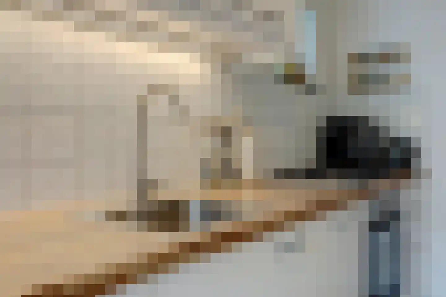 Oostmaaslaan 509 Rotterdam thumbnail 9