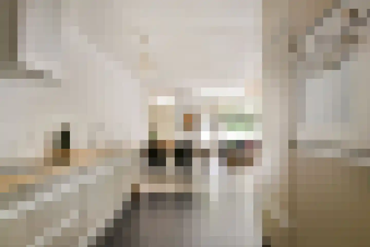 Oostmaaslaan 511 Rotterdam thumbnail 15