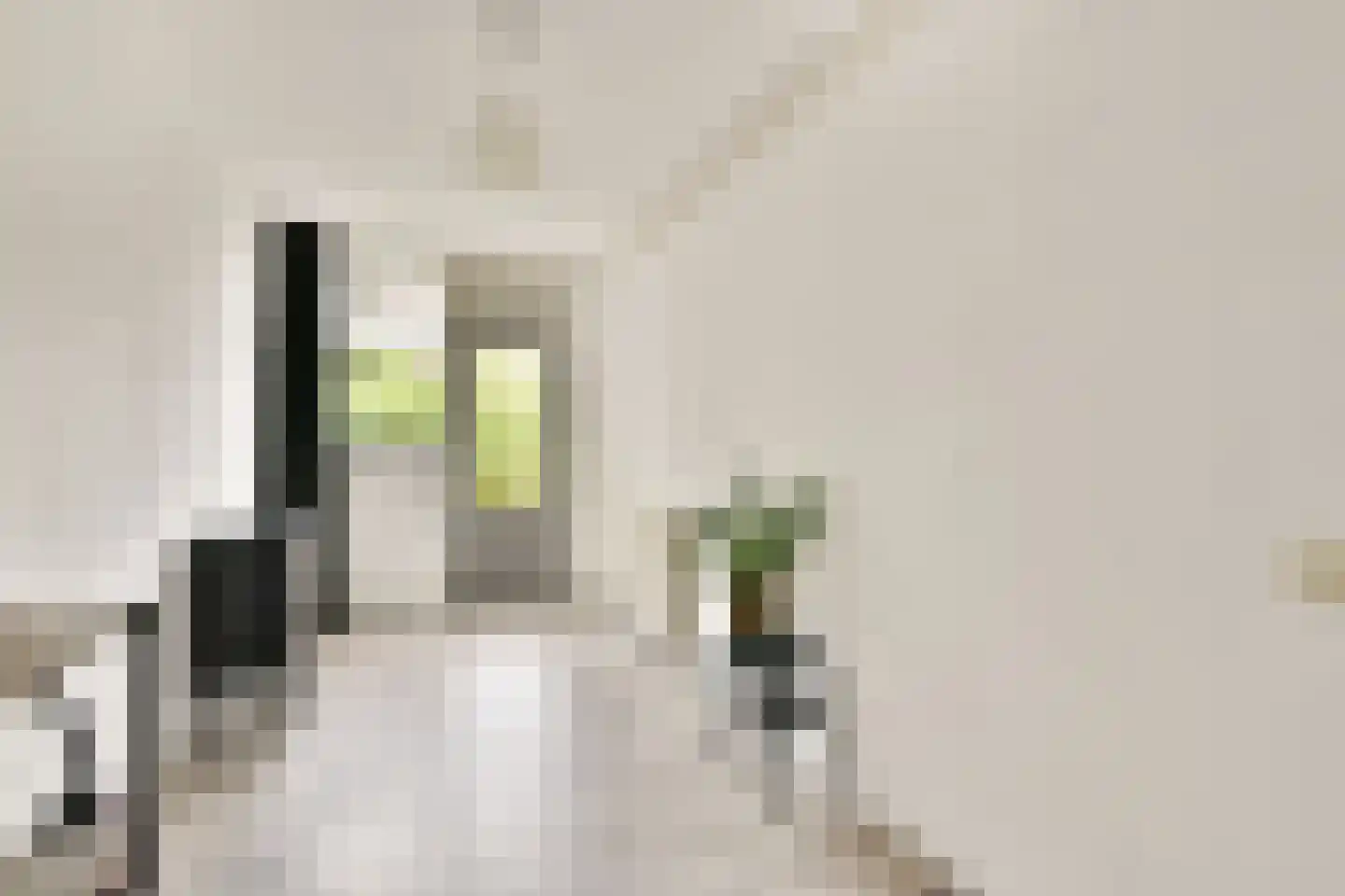 Oostmaaslaan 511 Rotterdam thumbnail 23