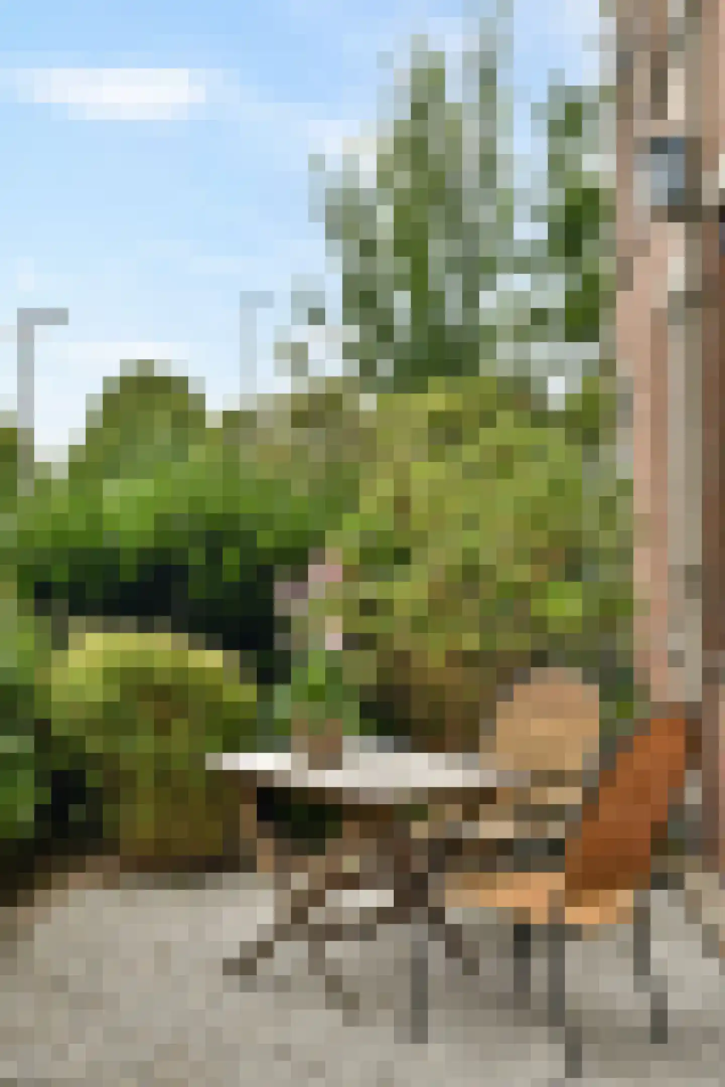 Oostmaaslaan 511 Rotterdam thumbnail 25
