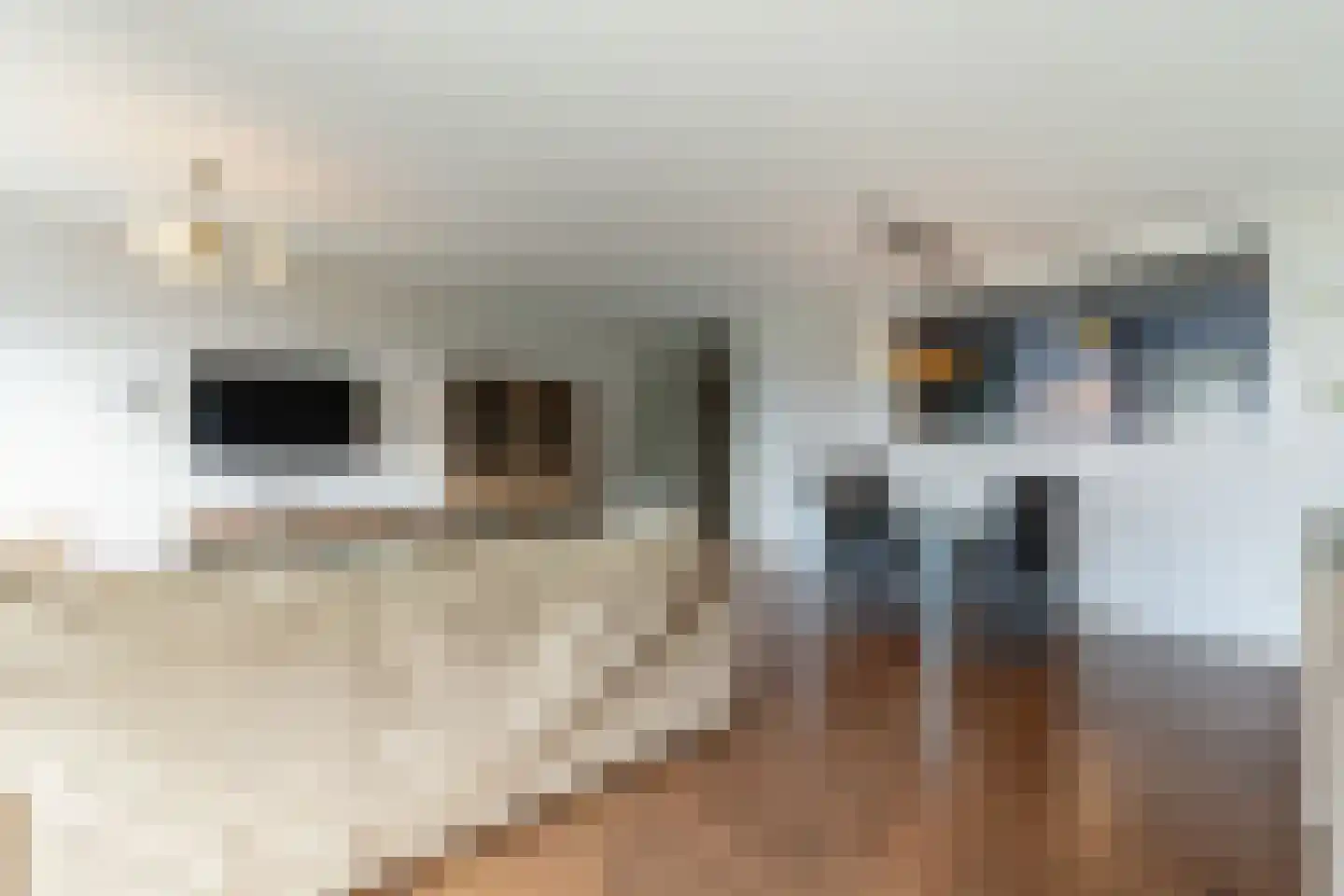 Oostmaaslaan 518 Rotterdam thumbnail 6