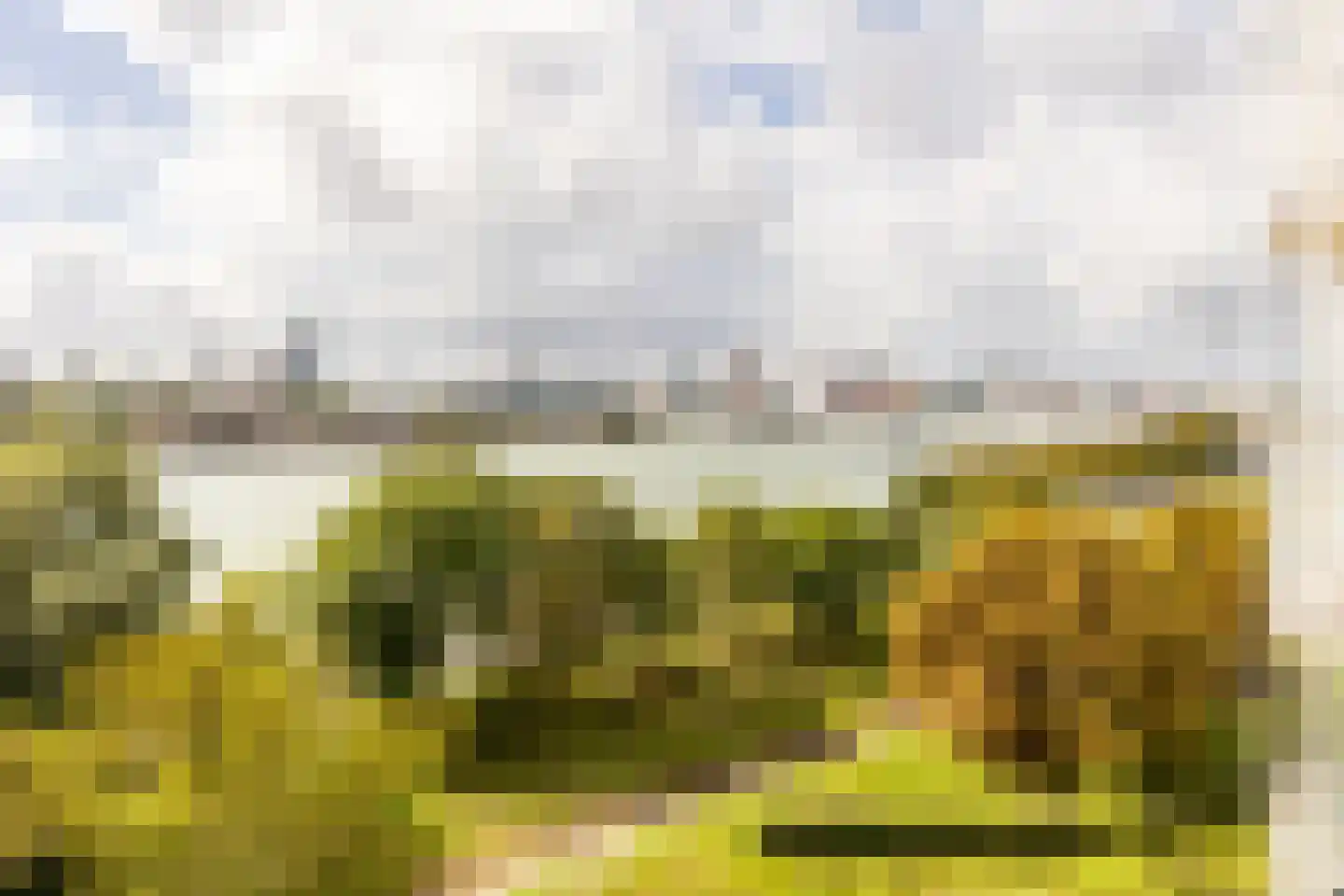 Oostmaaslaan 562 Rotterdam thumbnail 20