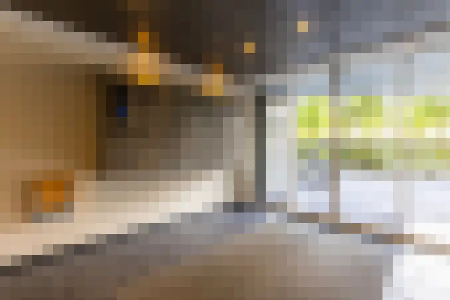 Oostmaaslaan 562 Rotterdam thumbnail 35