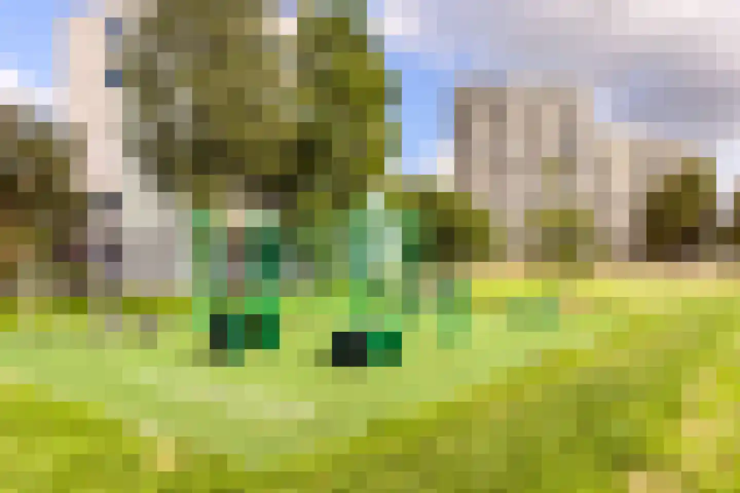 Oostmaaslaan 562 Rotterdam thumbnail 37