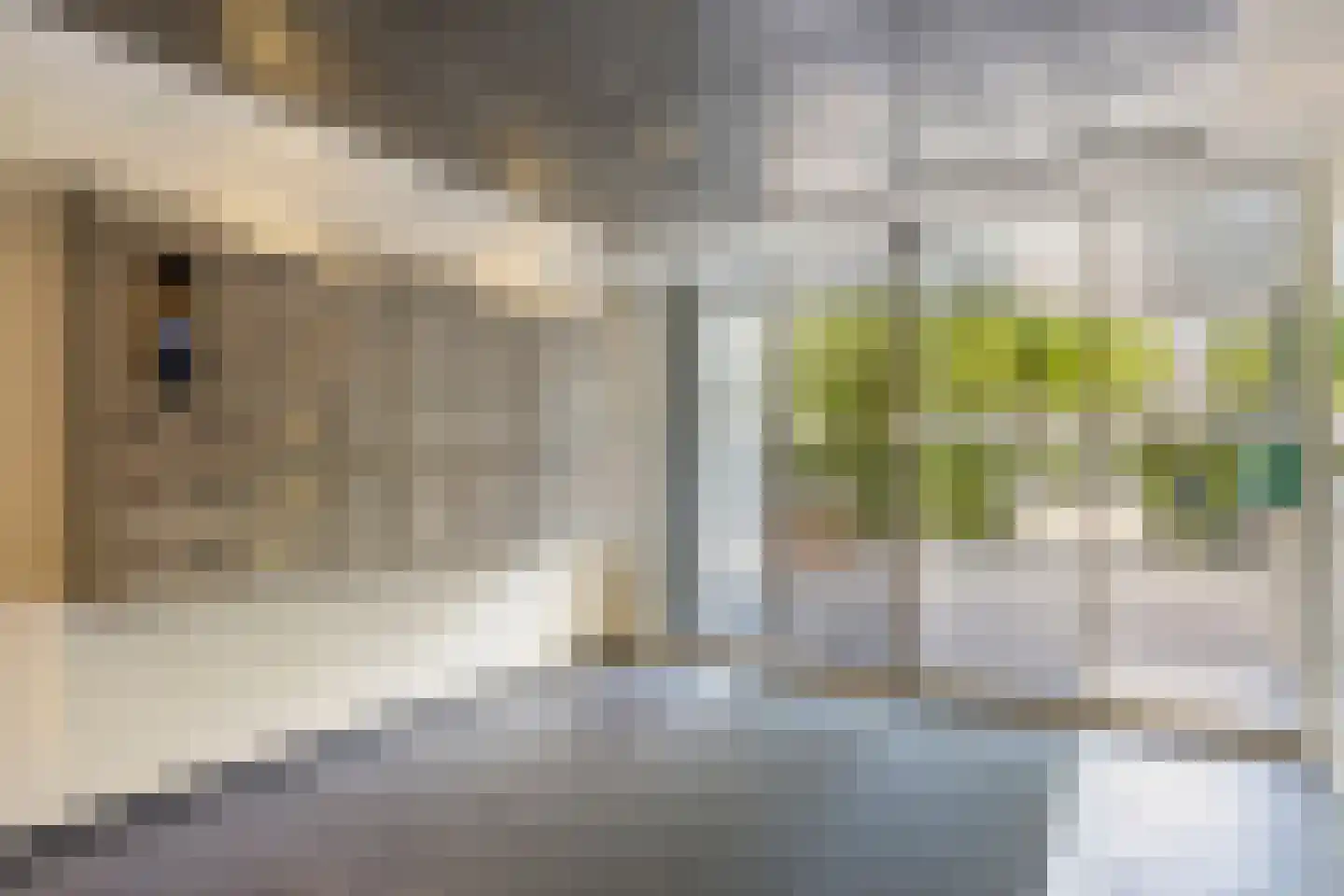 Oostmaaslaan 660 Rotterdam thumbnail 7