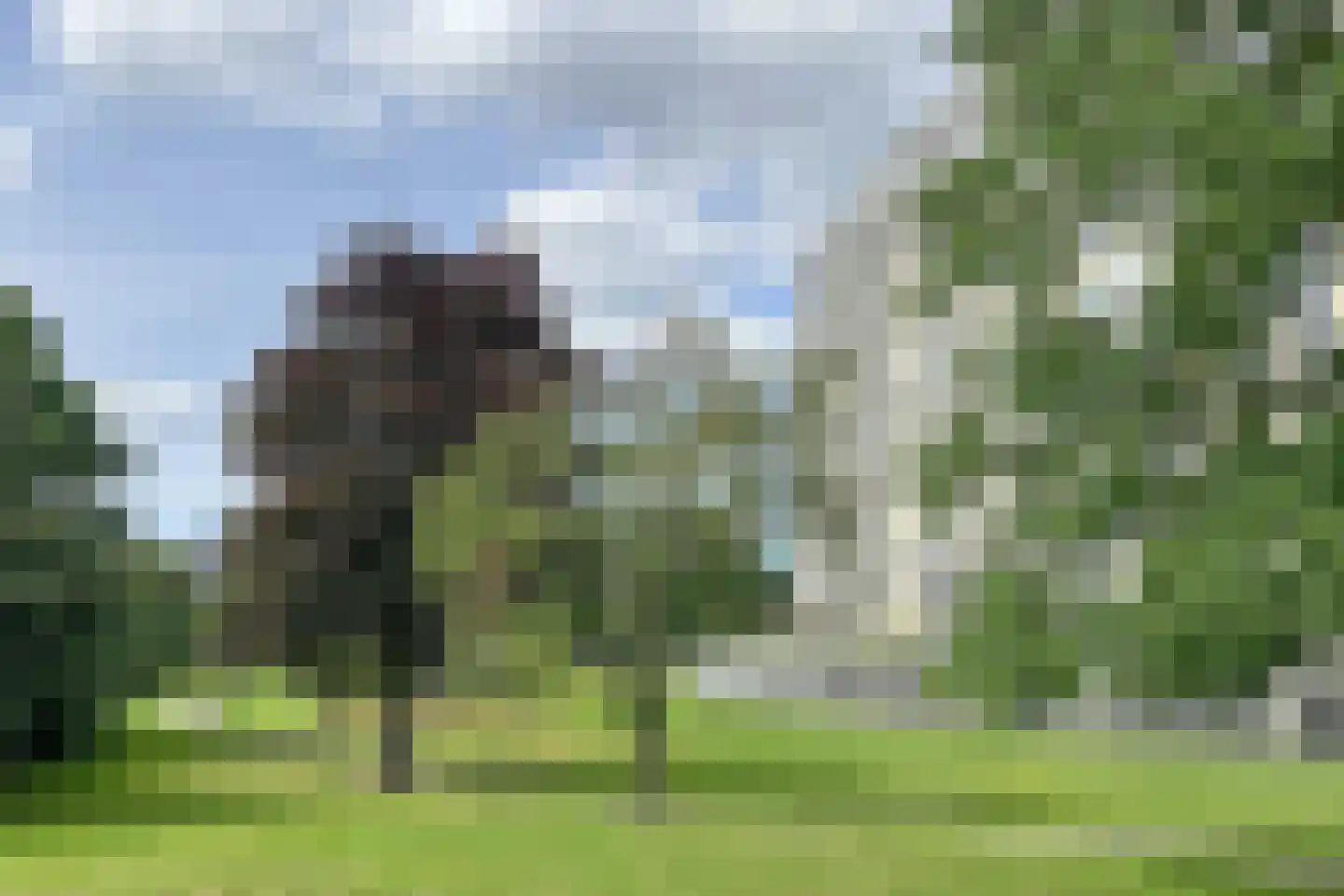 Oostmaaslaan 672 Rotterdam thumbnail 12