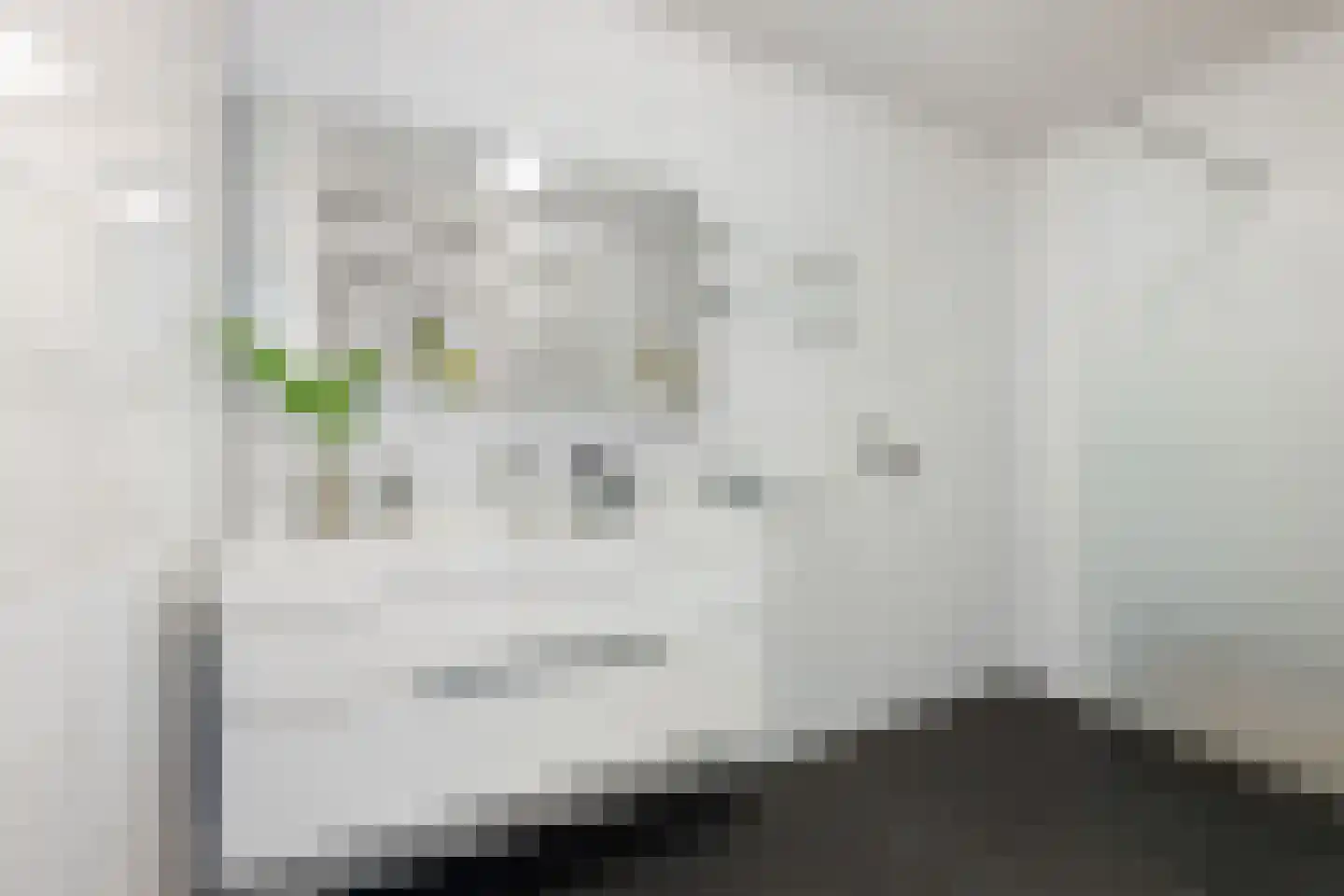 Oostmaaslaan 820 Rotterdam thumbnail 16