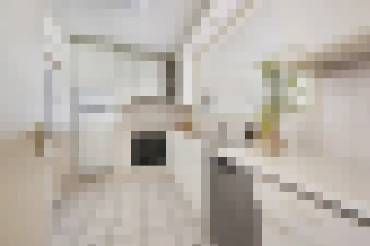 Oostmaaslaan 820 Rotterdam thumbnail 7