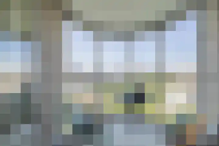 Oostmaaslaan 884 Rotterdam thumbnail 15