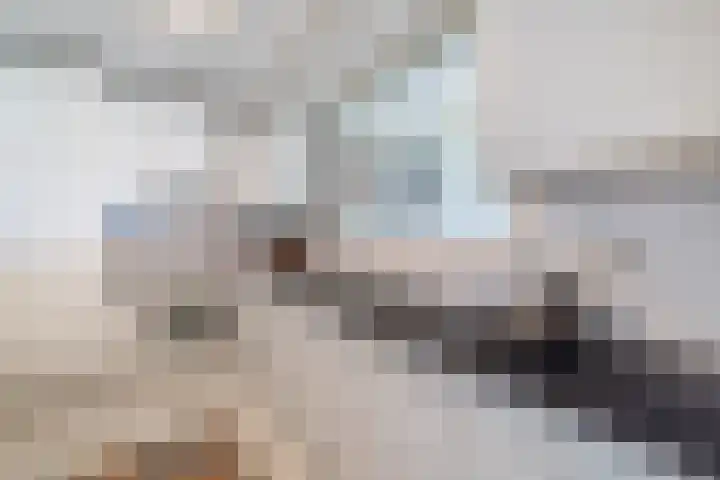 Oostmaaslaan 884 Rotterdam thumbnail 17