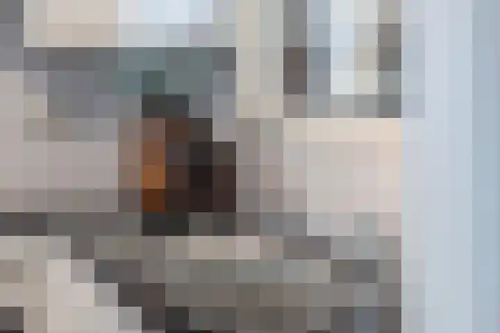 Oostmaaslaan 884 Rotterdam thumbnail 19