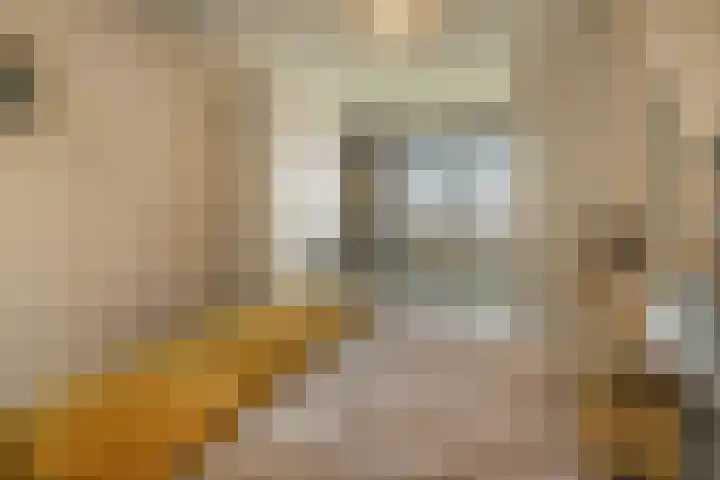 Oostmaaslaan 884 Rotterdam thumbnail 20