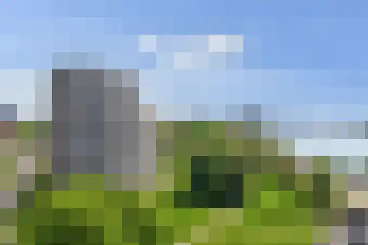 Oostmaaslaan 884 Rotterdam thumbnail 28
