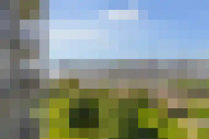 Oostmaaslaan 884 Rotterdam thumbnail 30