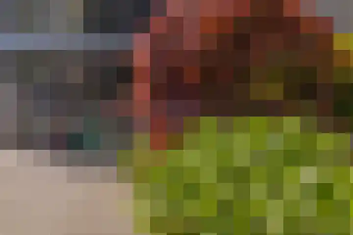 Oostmaaslaan 884 Rotterdam thumbnail 5
