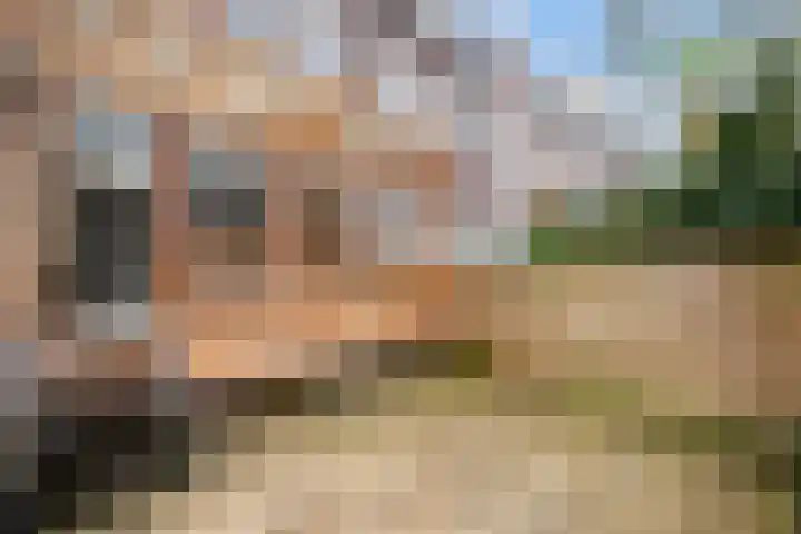 Oostmaasstraat 11 Rotterdam thumbnail 25