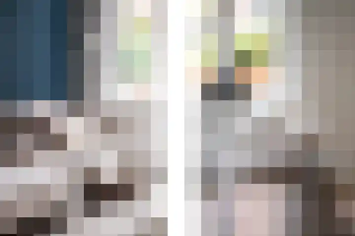 Oostmaasstraat 11 Rotterdam thumbnail 5