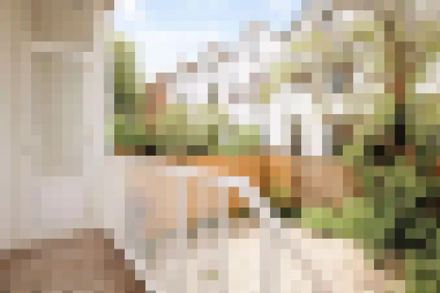 Oostmaasstraat 33 A Rotterdam thumbnail 13