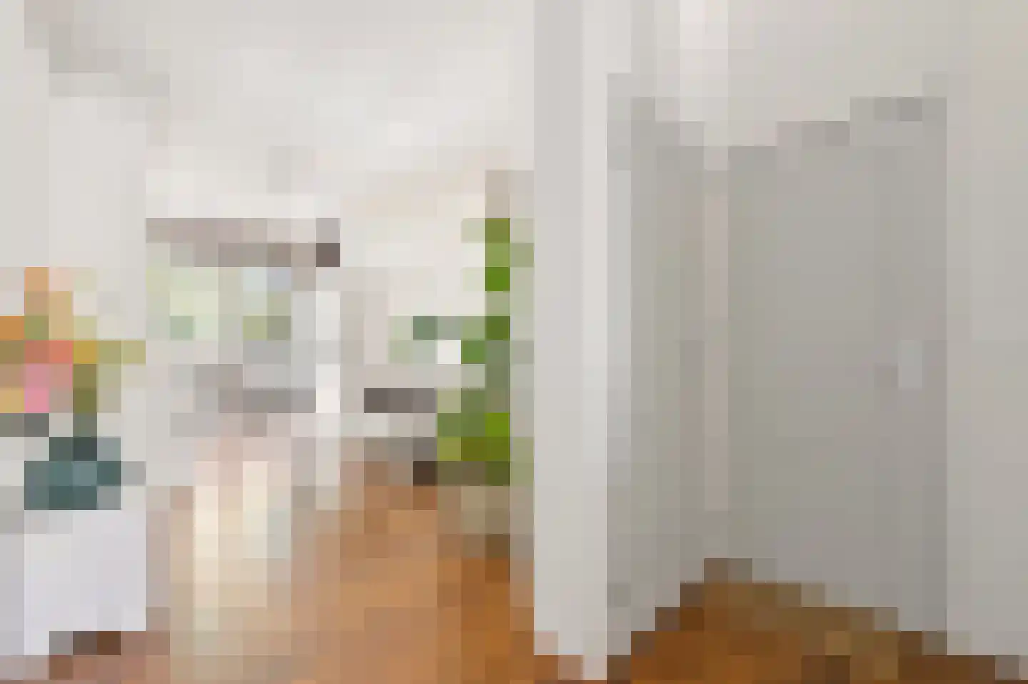 Oostmaasstraat 44 B Rotterdam thumbnail 7
