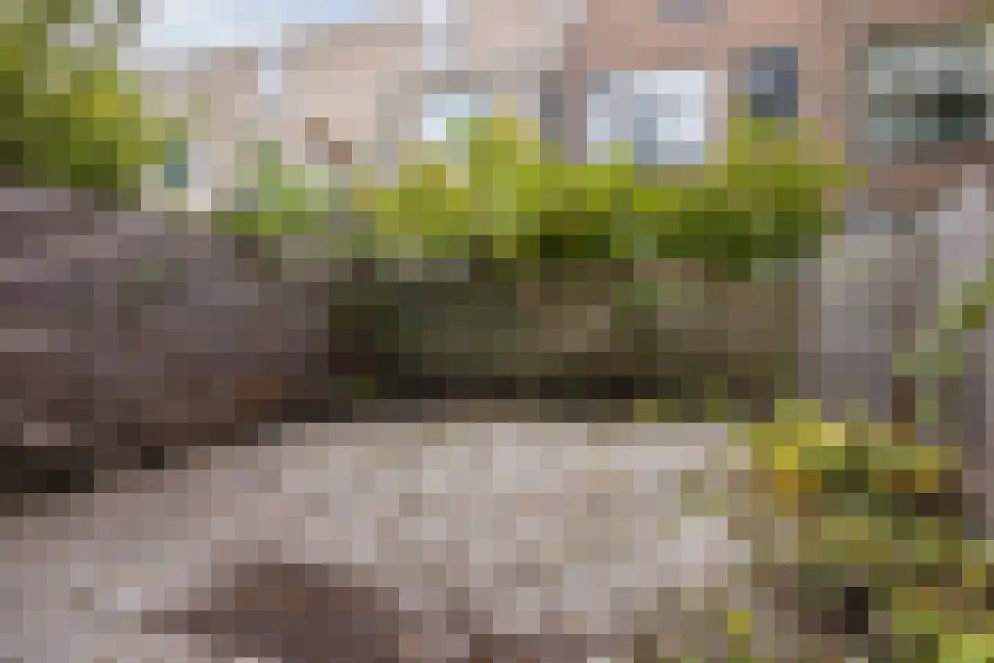 Oostmaasstraat 49 B Rotterdam thumbnail 4