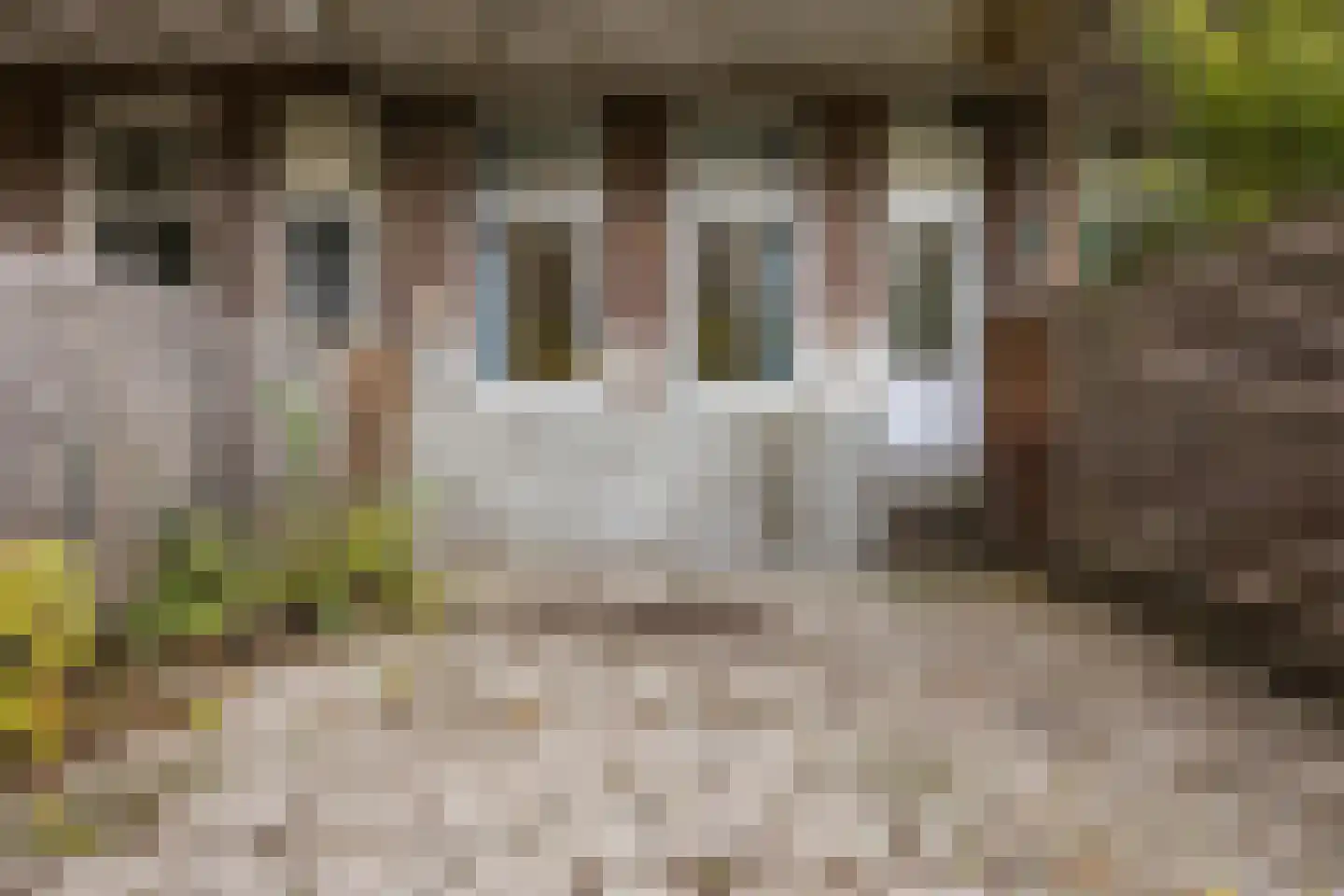 Oostmaasstraat 49 B Rotterdam thumbnail 5