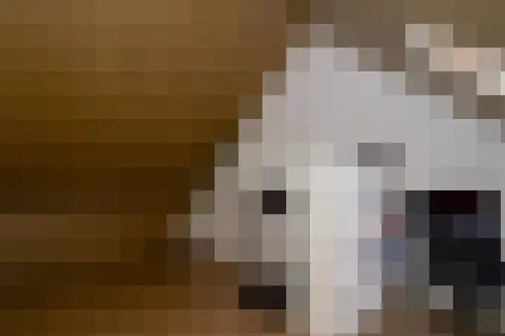 Oostmaat 3 Bunschoten-Spakenburg thumbnail 26