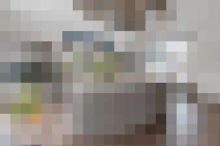 Oostmadeweg 15 Den Haag thumbnail 15