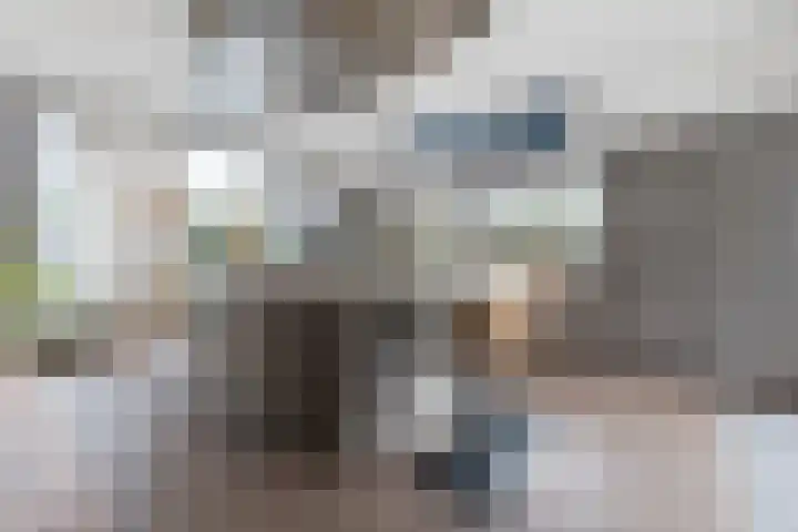 Oostmadeweg 15 Den Haag thumbnail 16