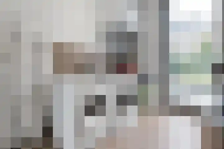 Oostmadeweg 15 Den Haag thumbnail 20