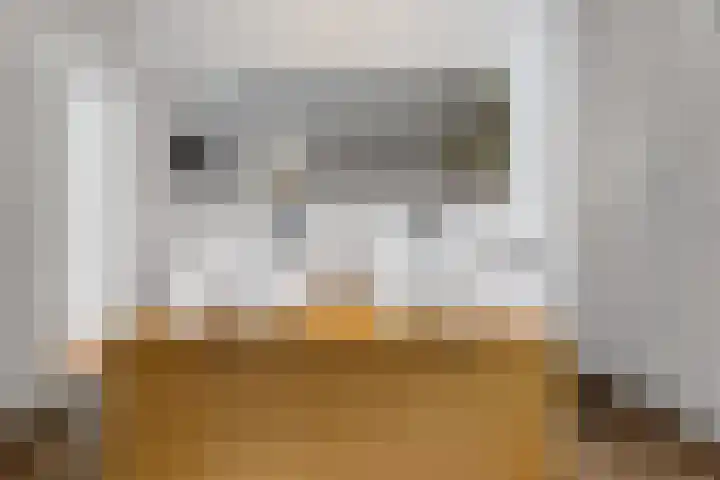 Oostmadeweg 15 Den Haag thumbnail 37