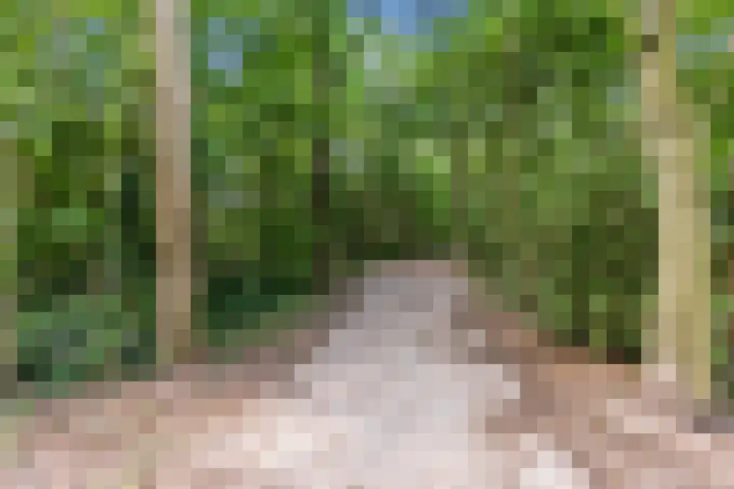 Oostmadeweg 15 Den Haag thumbnail 44
