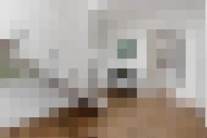 Oostmadeweg 15 Den Haag thumbnail 5