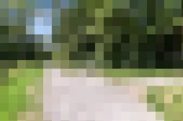 Oostmadeweg 15 Den Haag thumbnail 59