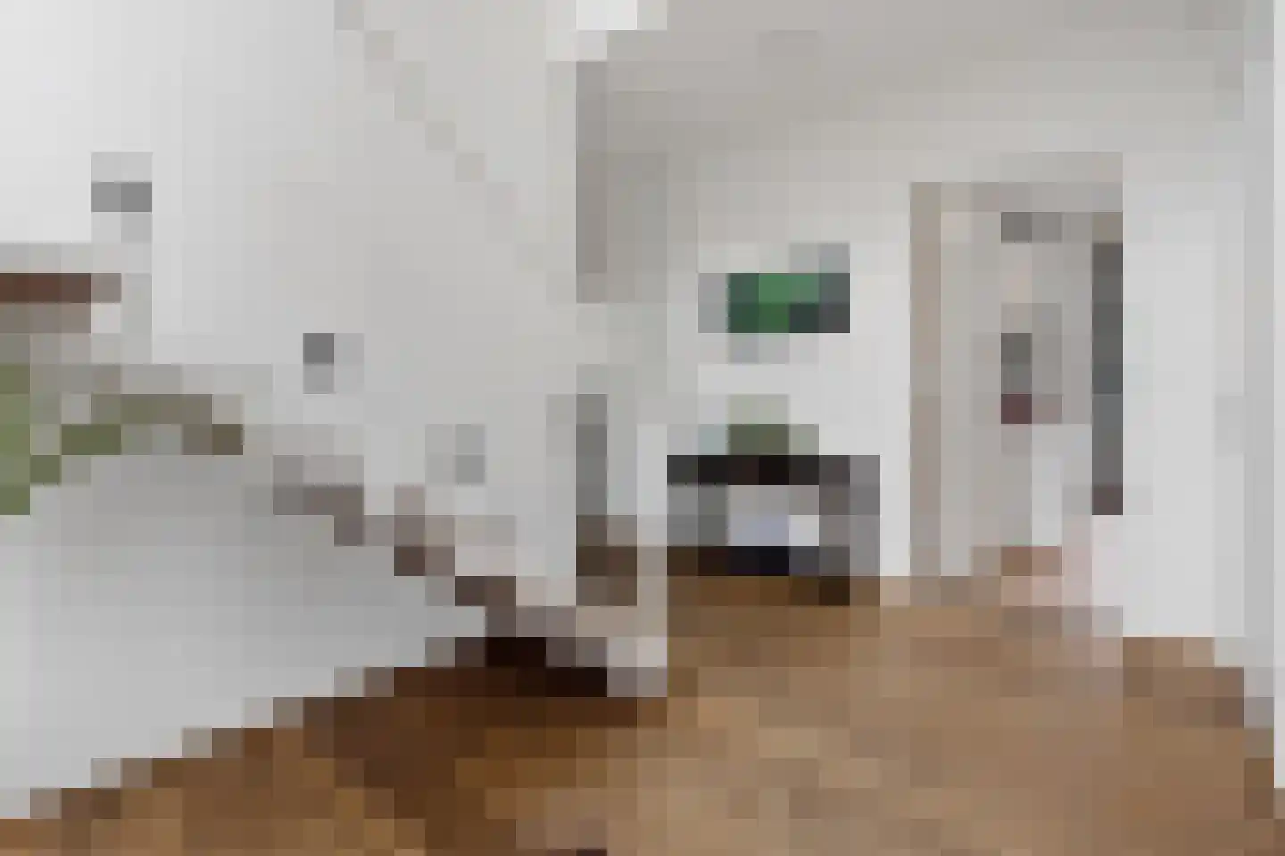 Oostmadeweg 15 Den Haag thumbnail 6