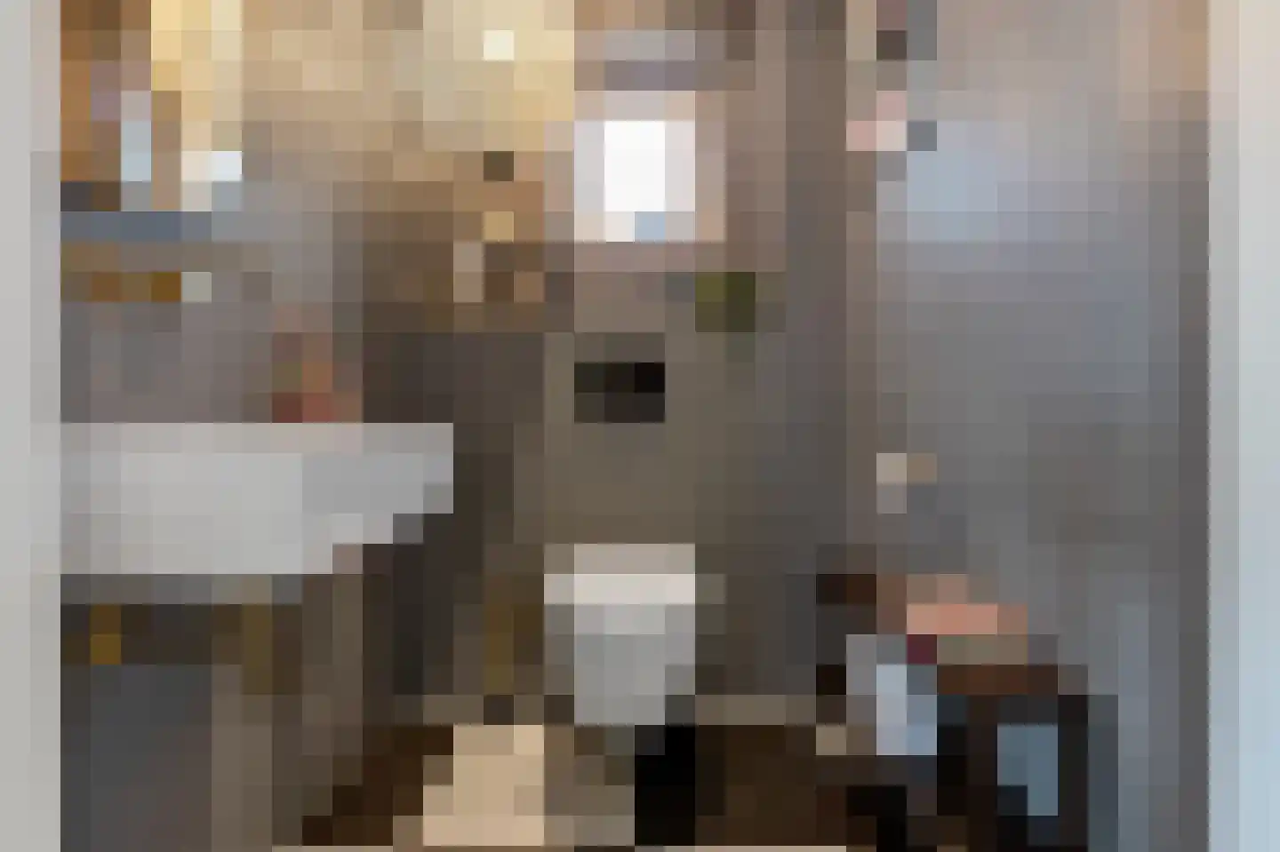 Oostmadeweg 5 A Den Haag thumbnail 10
