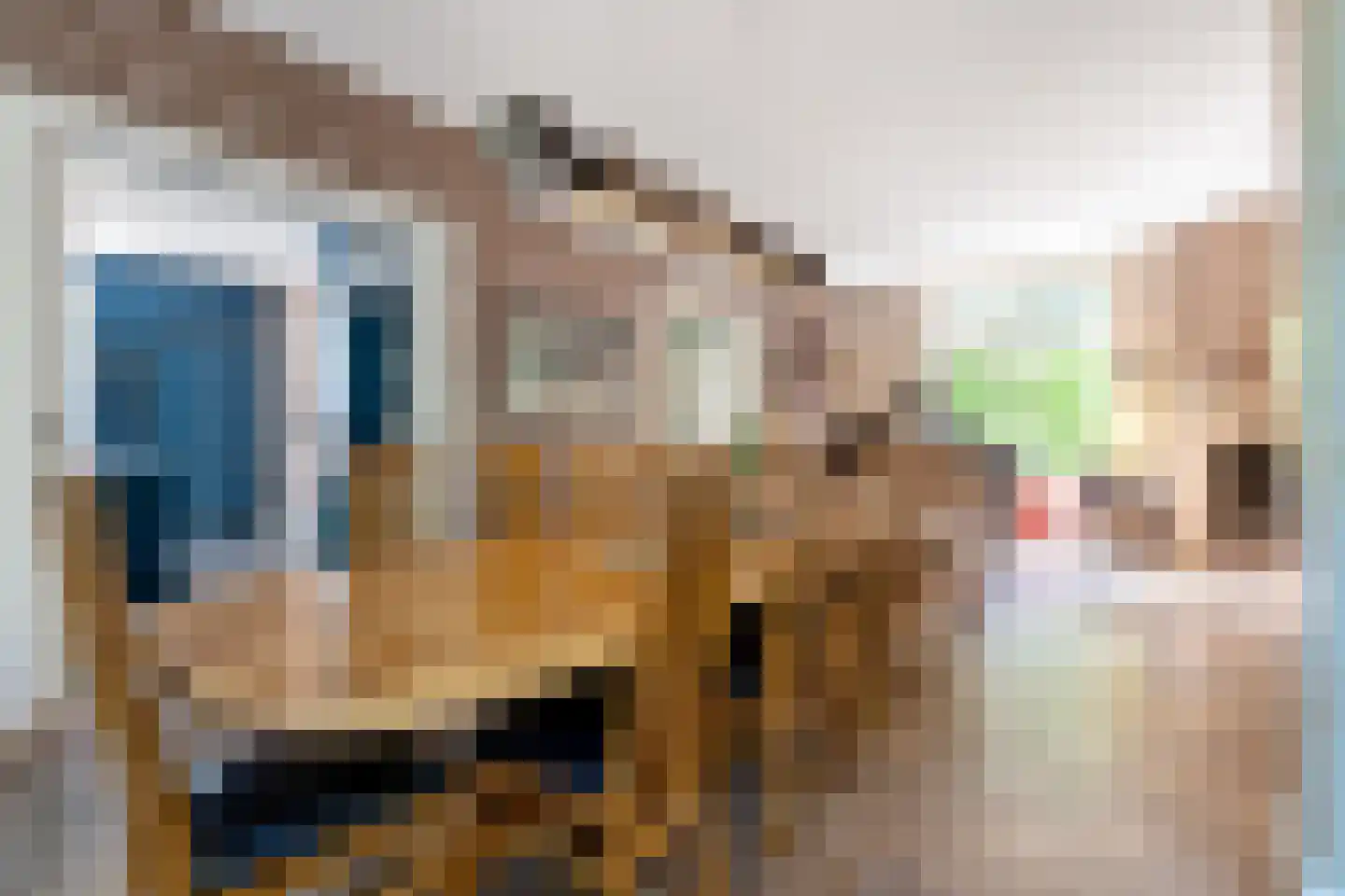 Oostmadeweg 5 A Den Haag thumbnail 13