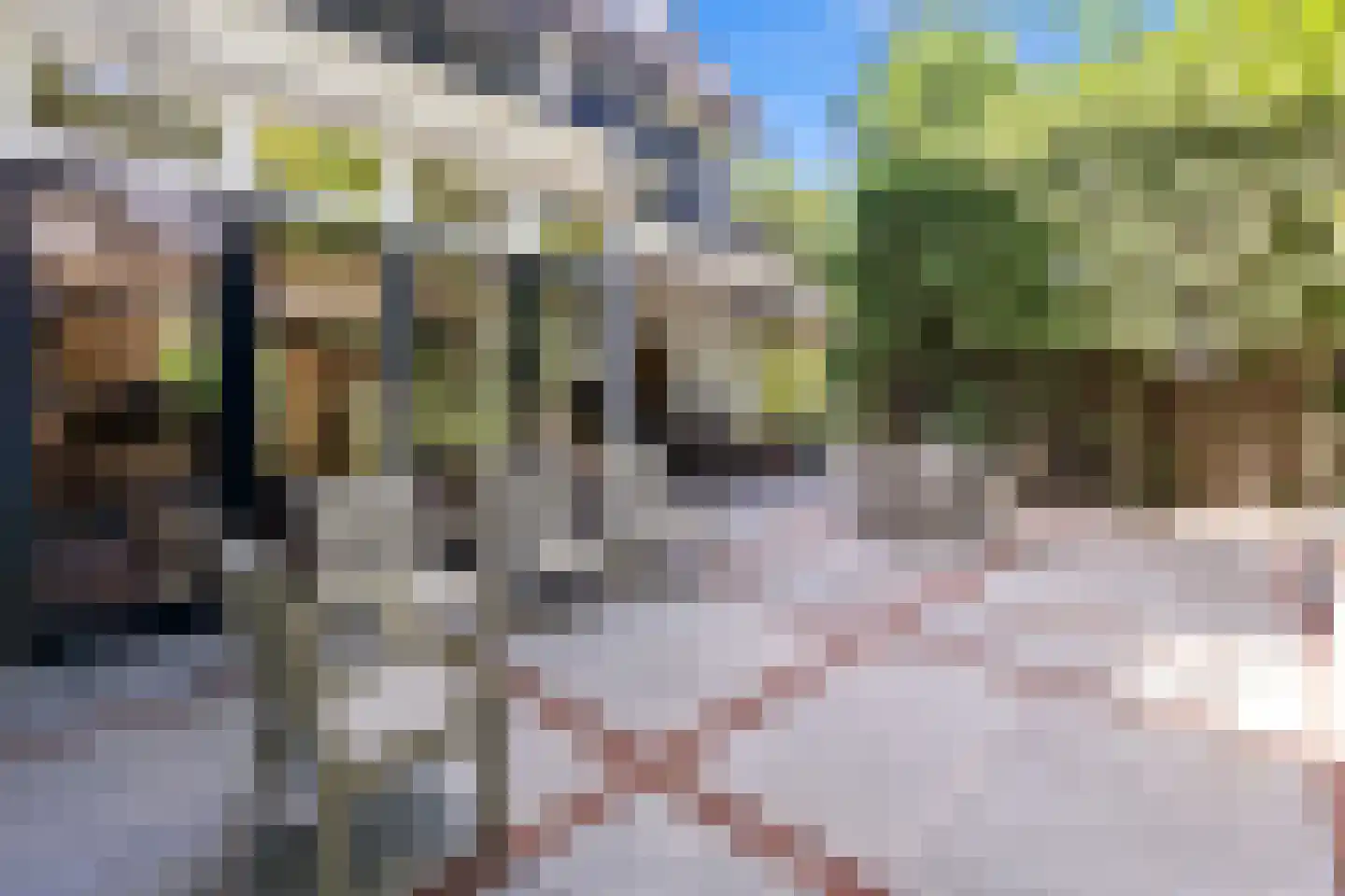 Oostmadeweg 5 A Den Haag thumbnail 20