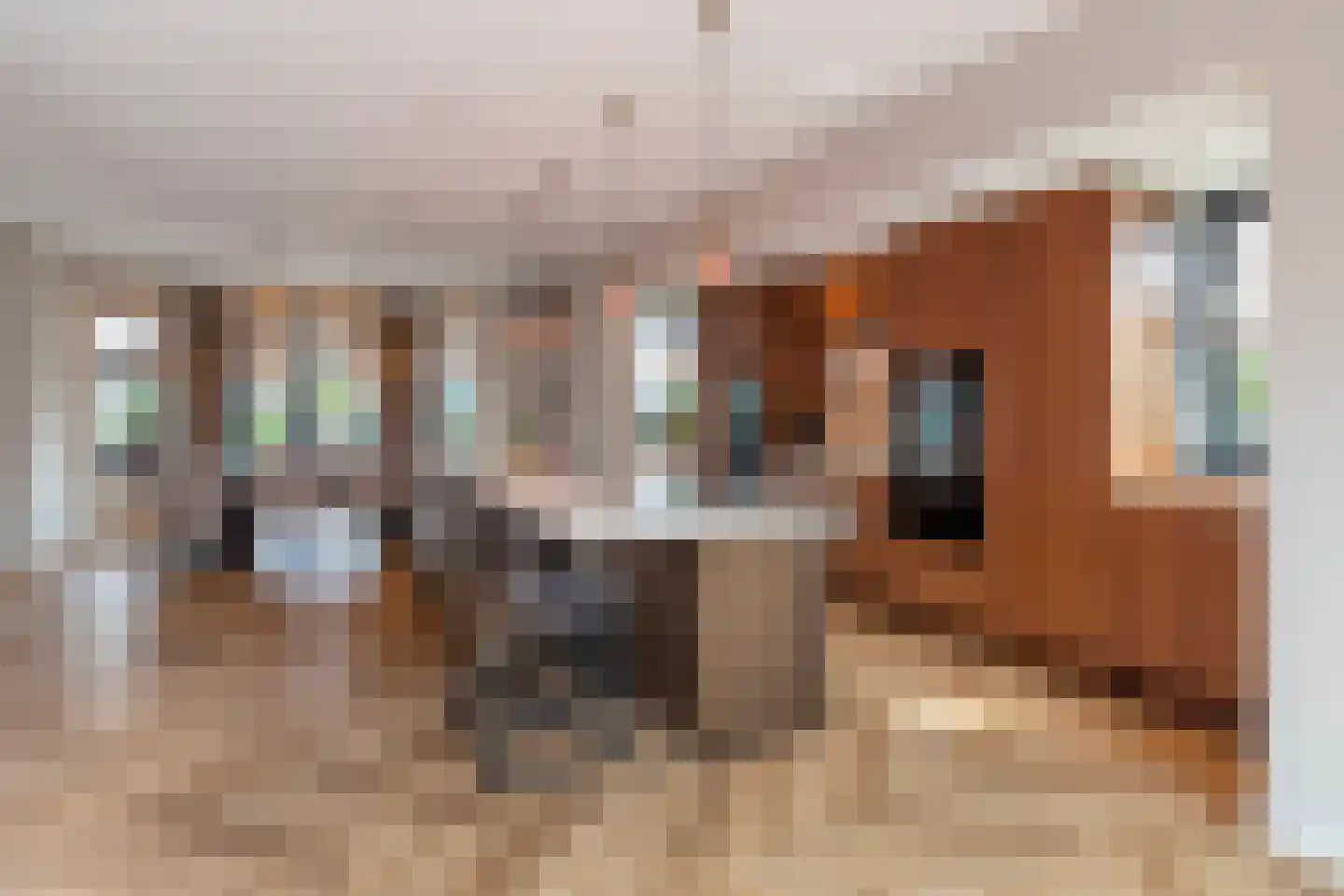 Oostmadeweg 64 Den Haag thumbnail 11