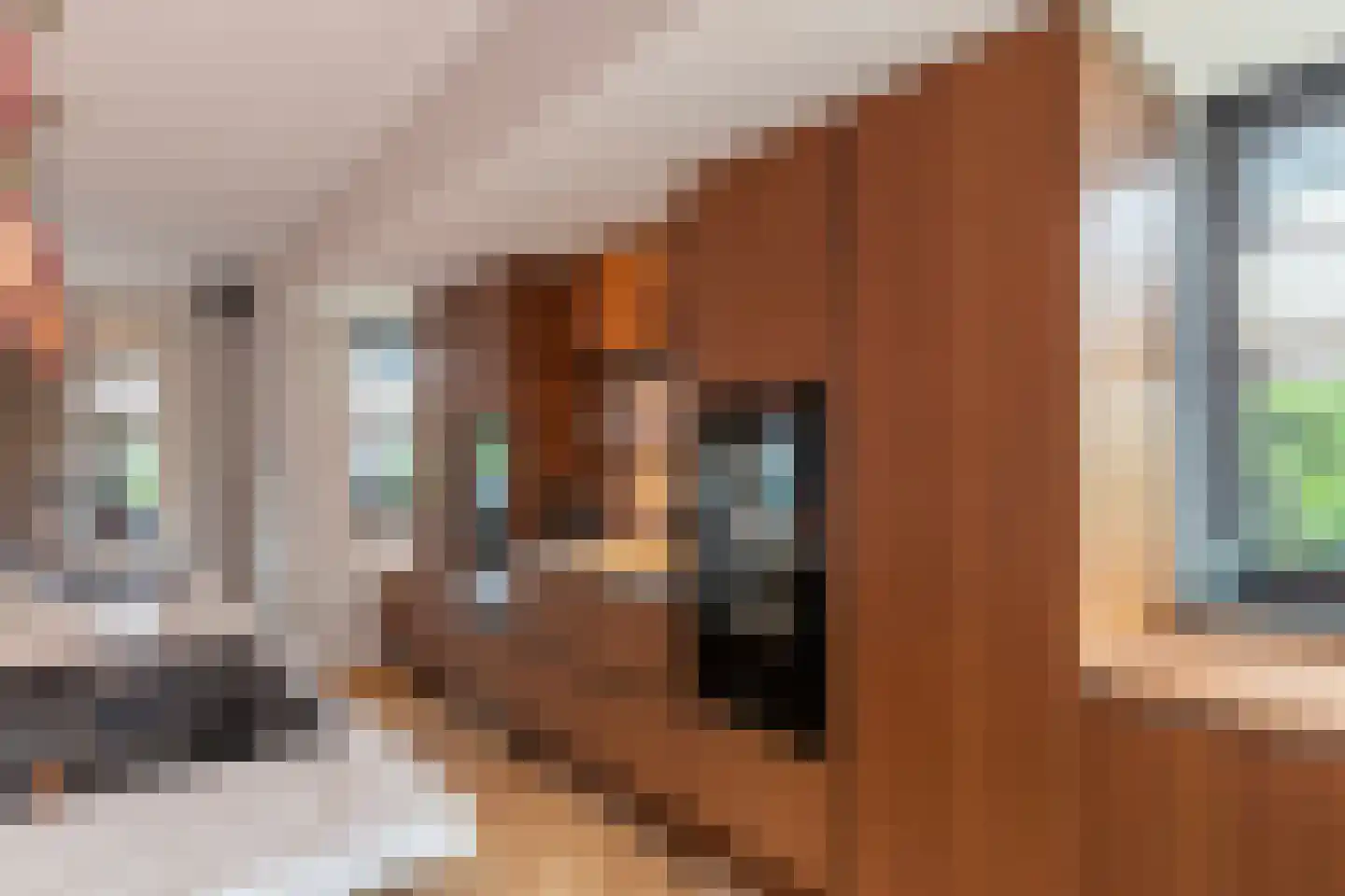 Oostmadeweg 64 Den Haag thumbnail 12