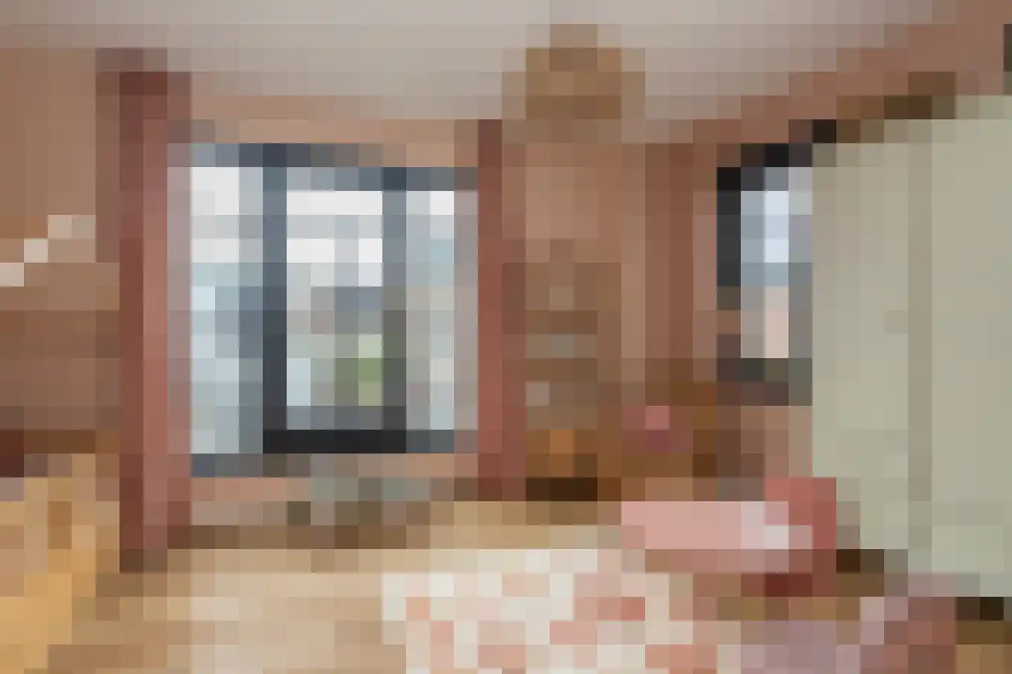 Oostmadeweg 64 Den Haag thumbnail 36