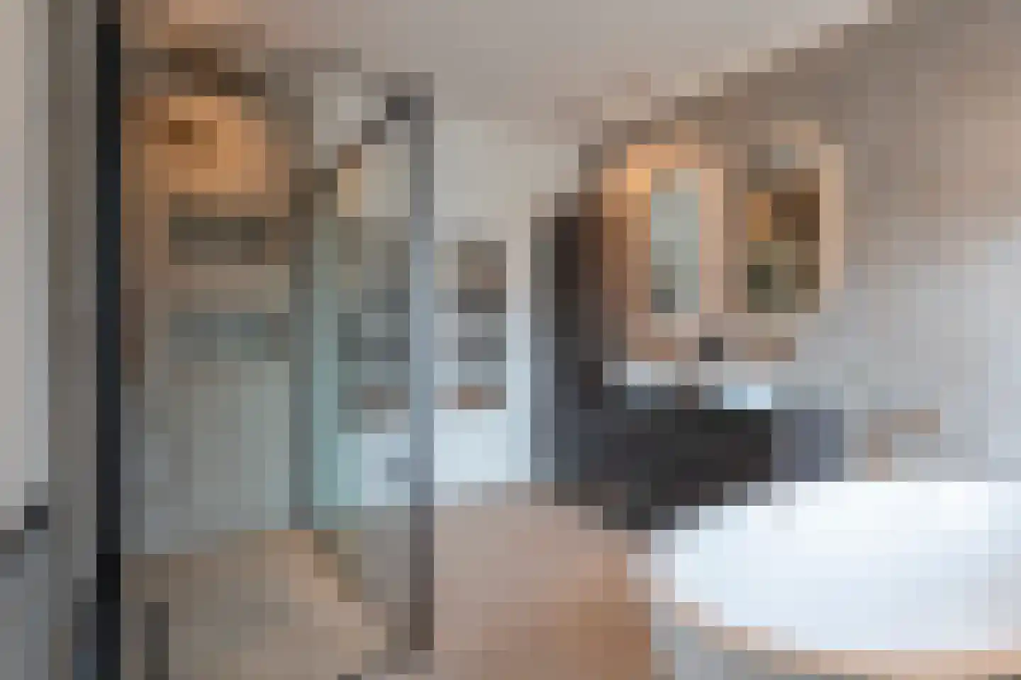 Oostmadeweg 64 Den Haag thumbnail 4