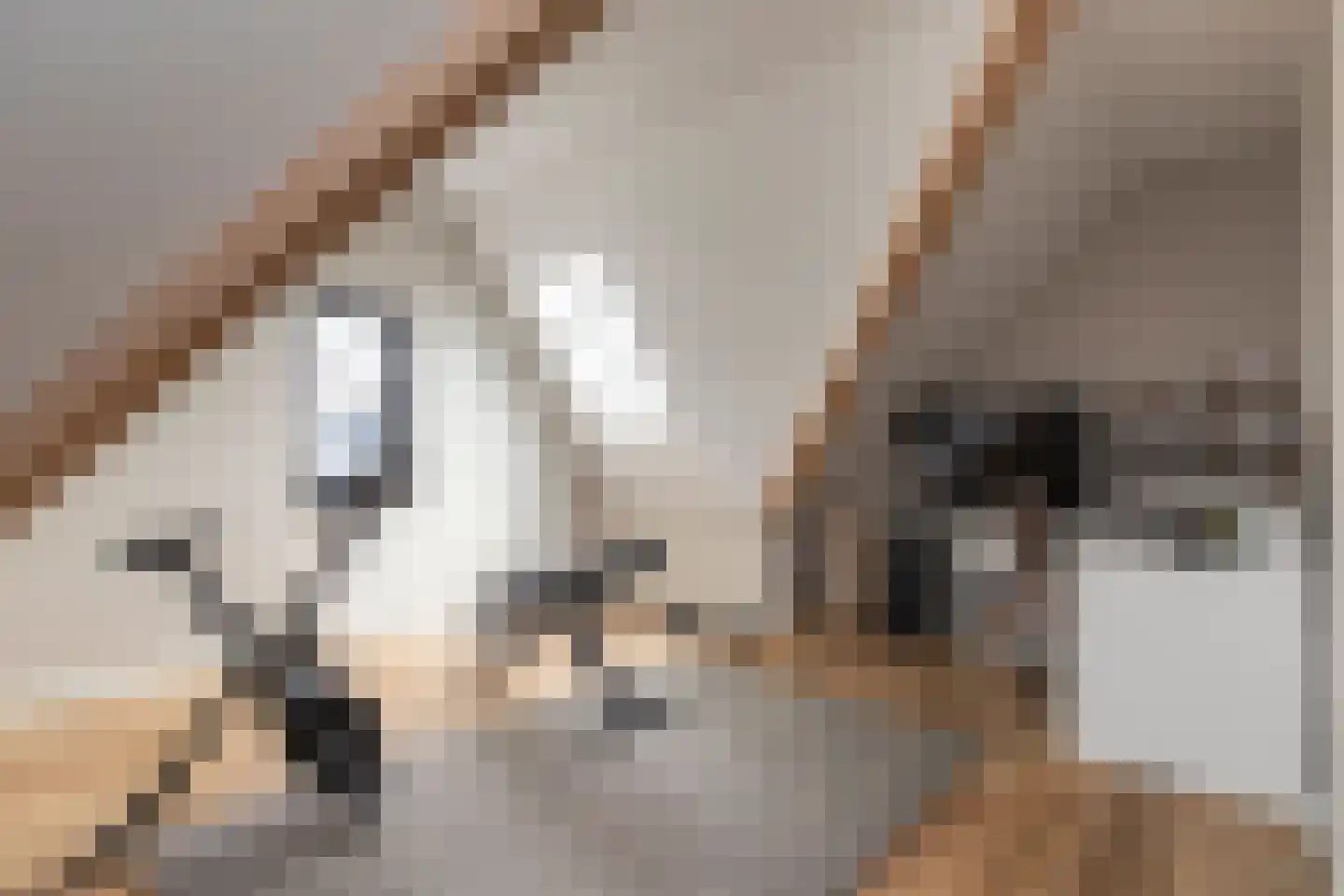 Oostmadeweg 64 Den Haag thumbnail 40