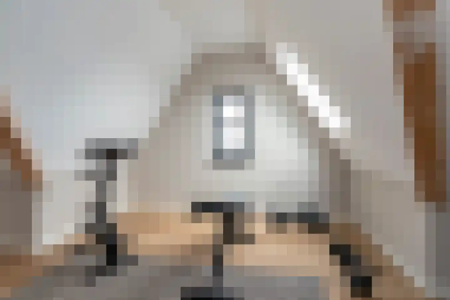 Oostmadeweg 64 Den Haag thumbnail 41
