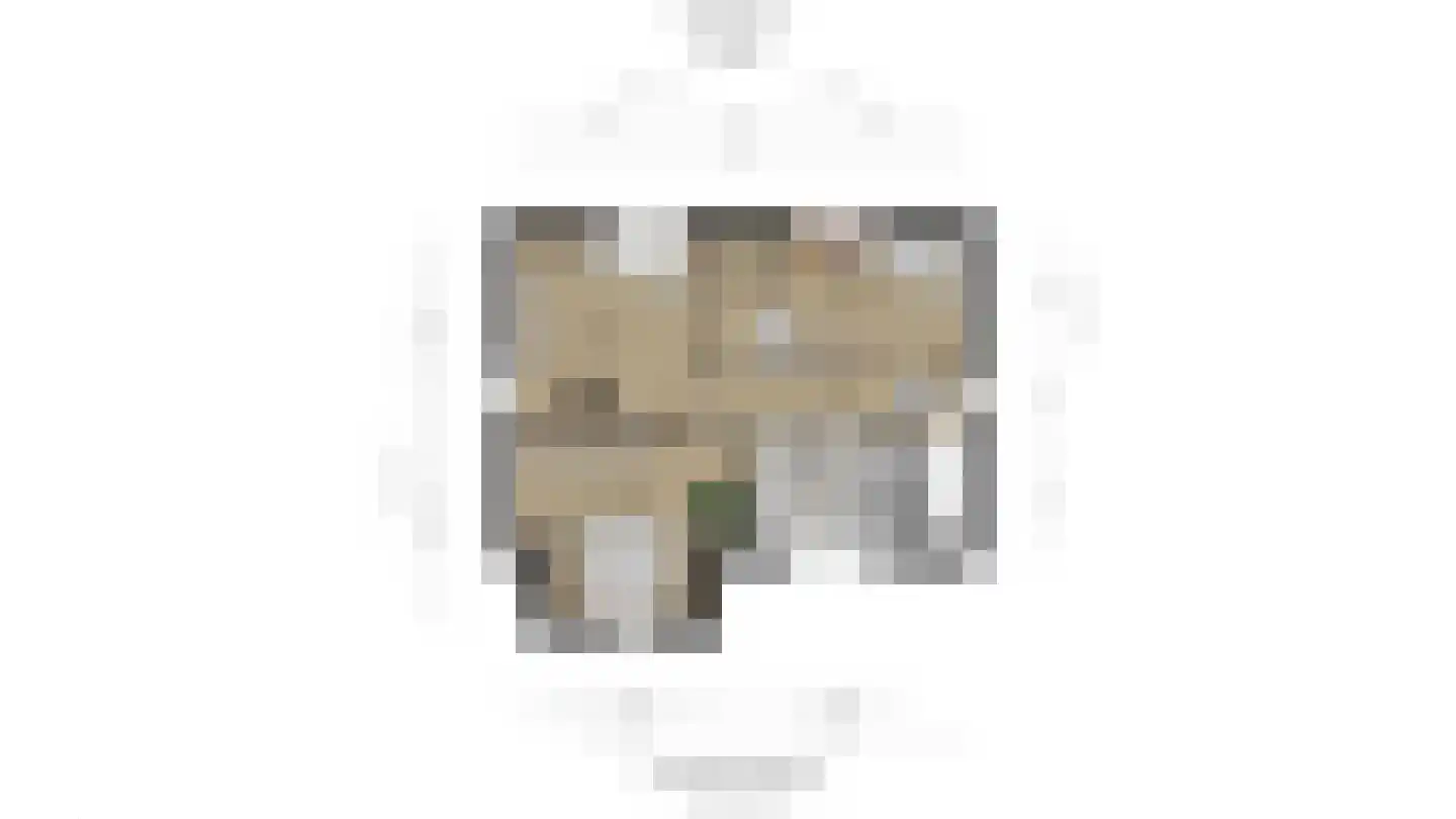 Oostmadeweg 64 Den Haag thumbnail 56