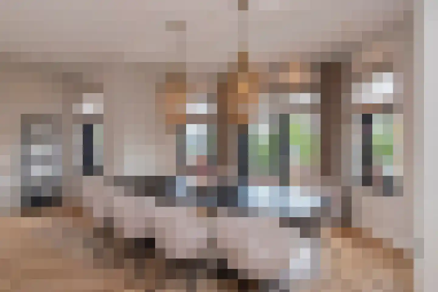 Oostmadeweg 64 Den Haag thumbnail 8