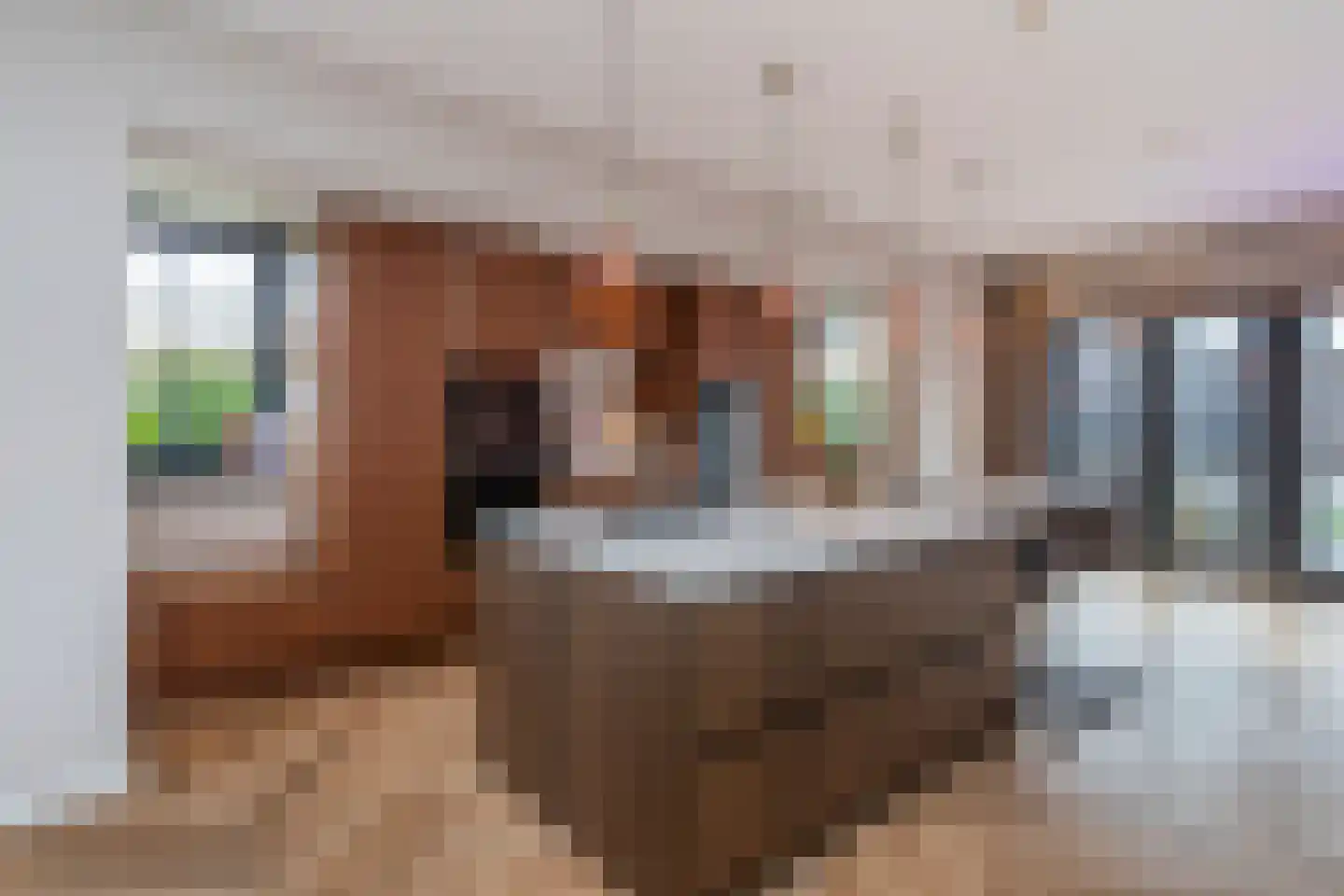 Oostmadeweg 64 Den Haag thumbnail 9