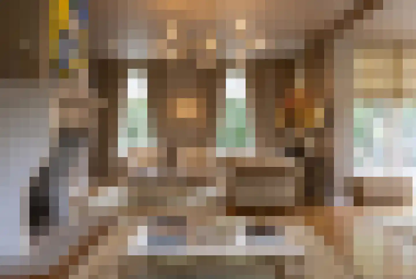Oostmadeweg 7 A Den Haag thumbnail 5